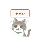 猫のクリ、まったり会話する（個別スタンプ：14）