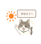 猫のクリ、まったり会話する（個別スタンプ：17）