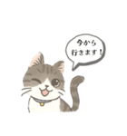 猫のクリ、まったり会話する（個別スタンプ：19）