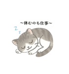 猫のクリ、まったり会話する（個別スタンプ：21）