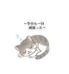 猫のクリ、まったり会話する（個別スタンプ：24）