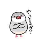 愉快なシジミチャン（個別スタンプ：1）