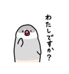 愉快なシジミチャン（個別スタンプ：3）