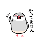 愉快なシジミチャン（個別スタンプ：4）