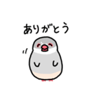 愉快なシジミチャン（個別スタンプ：6）