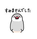 愉快なシジミチャン（個別スタンプ：7）