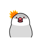 愉快なシジミチャン（個別スタンプ：15）