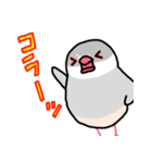 愉快なシジミチャン（個別スタンプ：16）