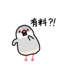 愉快なシジミチャン（個別スタンプ：20）