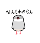 愉快なシジミチャン（個別スタンプ：21）