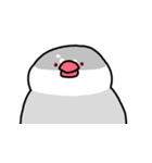 愉快なシジミチャン（個別スタンプ：22）