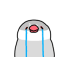 愉快なシジミチャン（個別スタンプ：23）