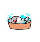 愉快なシジミチャン（個別スタンプ：26）