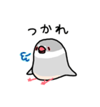 愉快なシジミチャン（個別スタンプ：28）