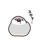 愉快なシジミチャン（個別スタンプ：29）