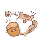 シマリスの日常色々（個別スタンプ：1）