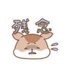 シマリスの日常色々（個別スタンプ：16）