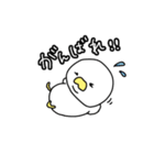 トレーニーコケ（個別スタンプ：2）