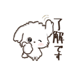 【犬の日】愛犬♡マルチーズ★ご挨拶（個別スタンプ：1）