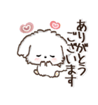【犬の日】愛犬♡マルチーズ★ご挨拶（個別スタンプ：5）