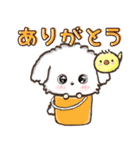 【犬の日】愛犬♡マルチーズ★ご挨拶（個別スタンプ：6）