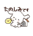 【犬の日】愛犬♡マルチーズ★ご挨拶（個別スタンプ：8）