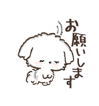 【犬の日】愛犬♡マルチーズ★ご挨拶（個別スタンプ：13）