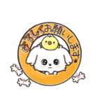 【犬の日】愛犬♡マルチーズ★ご挨拶（個別スタンプ：15）