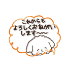 【犬の日】愛犬♡マルチーズ★ご挨拶（個別スタンプ：16）