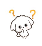 【犬の日】愛犬♡マルチーズ★ご挨拶（個別スタンプ：21）