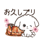 【犬の日】愛犬♡マルチーズ★ご挨拶（個別スタンプ：22）