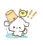【犬の日】愛犬♡マルチーズ★ご挨拶（個別スタンプ：24）