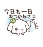 【犬の日】愛犬♡マルチーズ★ご挨拶（個別スタンプ：26）