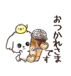 【犬の日】愛犬♡マルチーズ★ご挨拶（個別スタンプ：27）