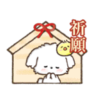 【犬の日】愛犬♡マルチーズ★ご挨拶（個別スタンプ：31）