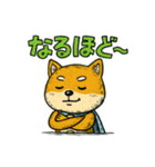 ヒーロー柴犬の表情豊かスタンプ 93（個別スタンプ：8）