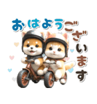 秋 残暑 日常♡豆柴とねこ（個別スタンプ：1）