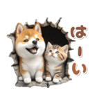 秋 残暑 日常♡豆柴とねこ（個別スタンプ：6）