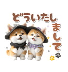 秋 残暑 日常♡豆柴とねこ（個別スタンプ：12）