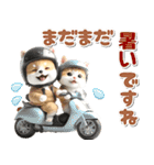 秋 残暑 日常♡豆柴とねこ（個別スタンプ：17）