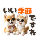 秋 残暑 日常♡豆柴とねこ（個別スタンプ：18）