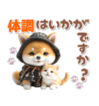 秋 残暑 日常♡豆柴とねこ（個別スタンプ：25）