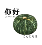 国産かぼちゃ 【中国語】（個別スタンプ：1）