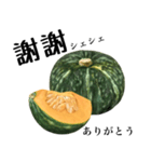 国産かぼちゃ 【中国語】（個別スタンプ：5）
