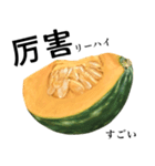 国産かぼちゃ 【中国語】（個別スタンプ：8）