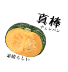 国産かぼちゃ 【中国語】（個別スタンプ：10）