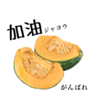 国産かぼちゃ 【中国語】（個別スタンプ：12）