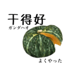 国産かぼちゃ 【中国語】（個別スタンプ：15）