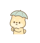 クリームしば ほっこり日常（個別スタンプ：4）