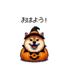 ハロウィンを楽しむ太っちょ柴犬（個別スタンプ：1）
